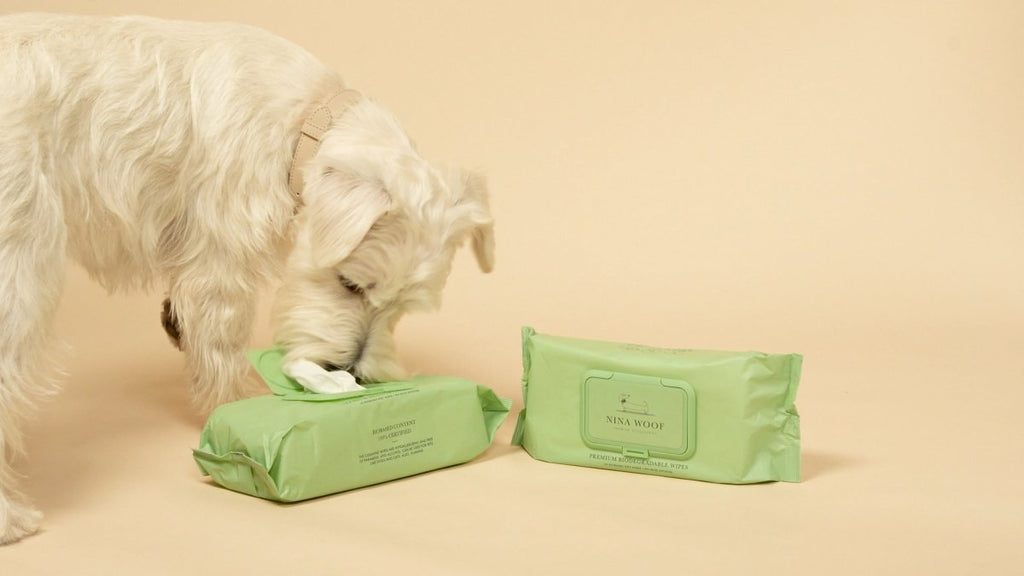Pet Care: Discovering the Benefits of Sensitive Dog Wipes