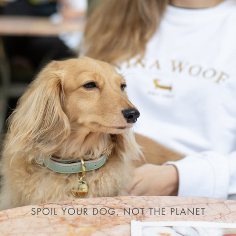 Copenhagen - Vegan Leather Dog Collar - Nina Woof
