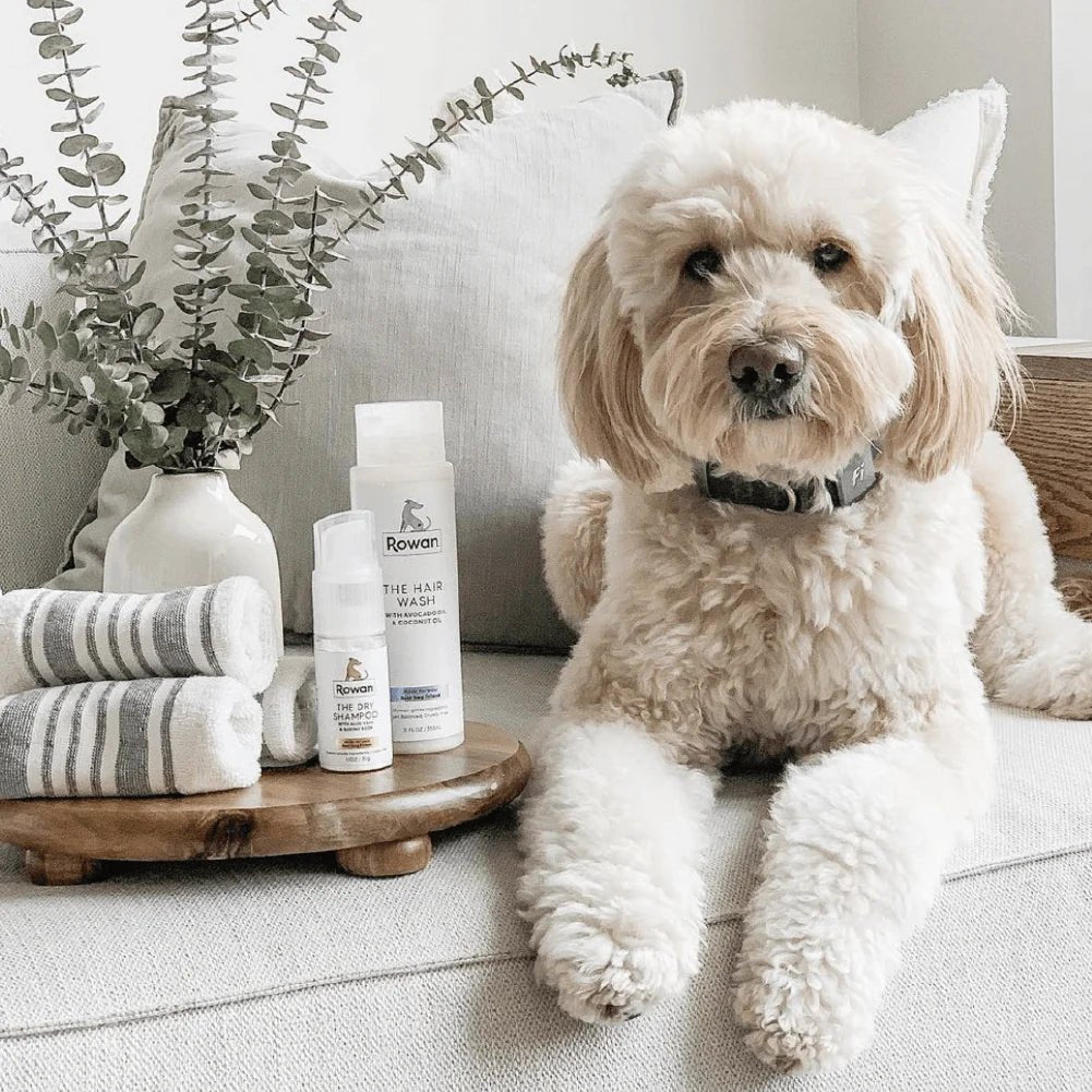 Clean Label Dog Grooming Products: The Key to Your Dog's Health and Happiness