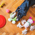 Discover the Perfect Toy for Your Dog