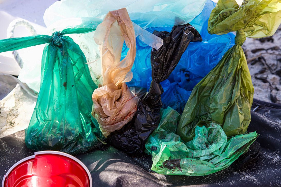 How Long do Plastic Dog Poop Bags Take to Decompose?
