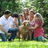 Lifestyle Guide to Picking Your Pooch: Finding the Best Family Dog for You