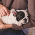 New Dog Parent? Essential Tips to Get You Started