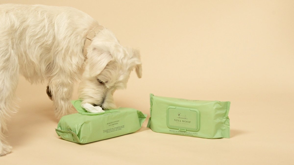 Pet Care: Discovering the Benefits of Sensitive Dog Wipes
