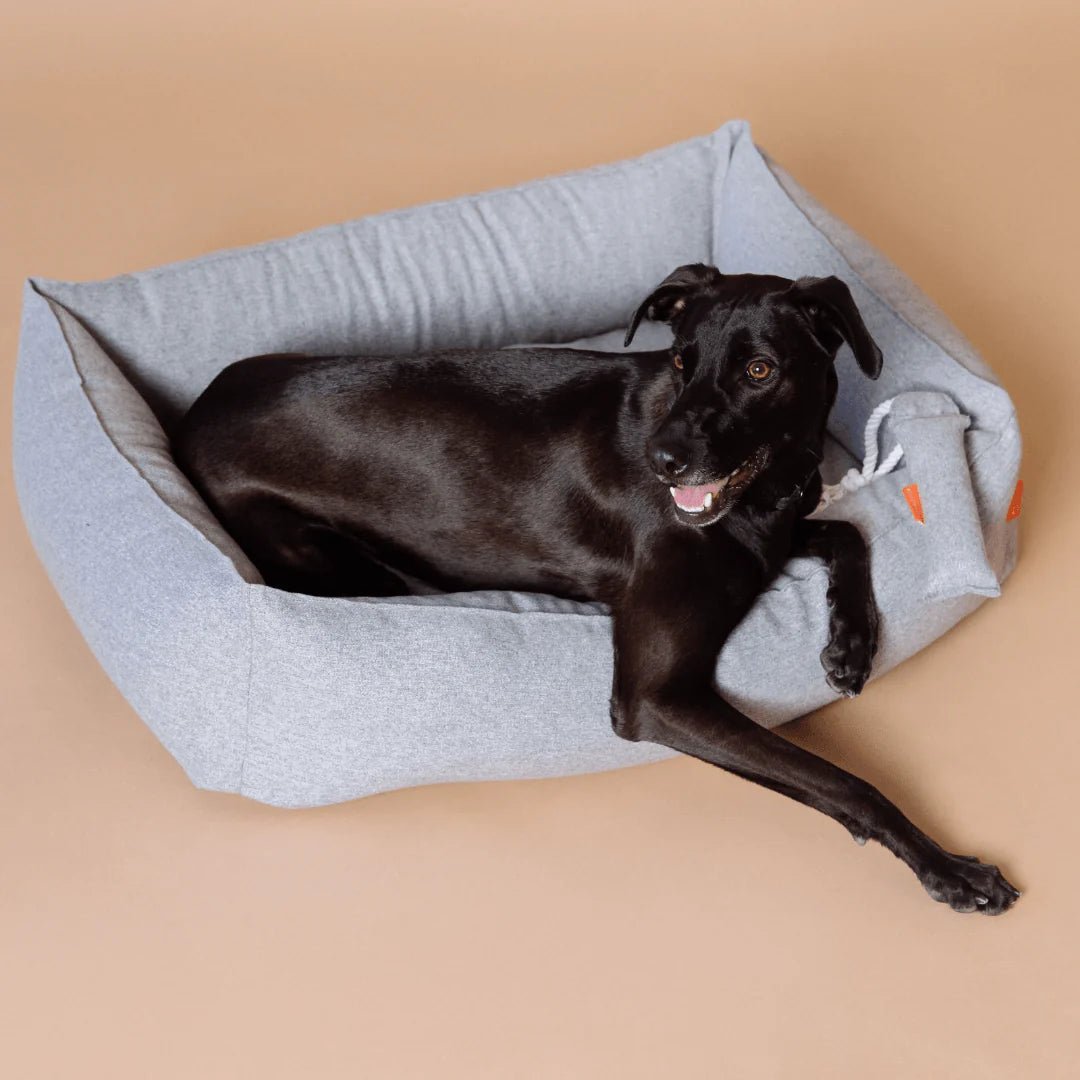 Surprising Benefits of Orthopedic Memory Foam Dog Beds That You Didn't Know About