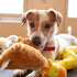 The Secret Behind Squeaky Toys: Why Your Dog is Obsessed