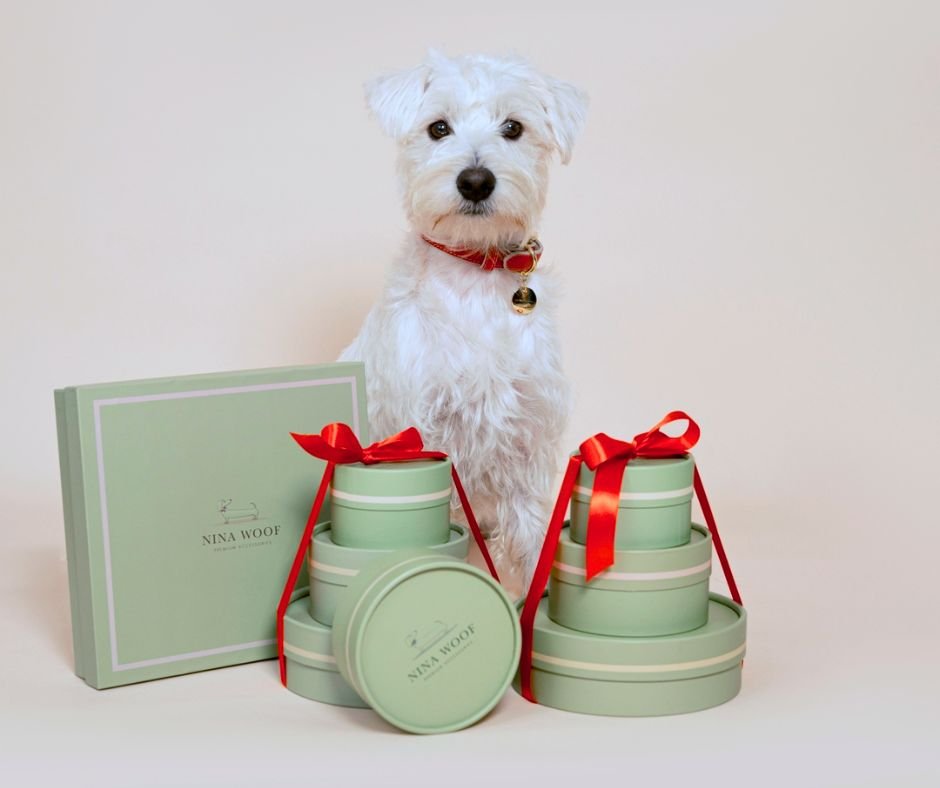 Unwrapping Joy: Gift Ideas for Pets & Parents