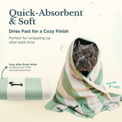 Bath Kit for Dogs – Grooming Set - Nina Woof