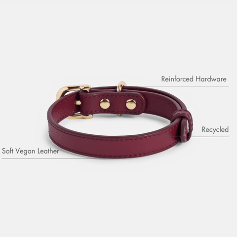 Collar Elevate - Nina Woof