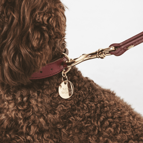 Collar Elevate - Nina Woof