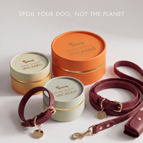 Collar Elevate - Nina Woof