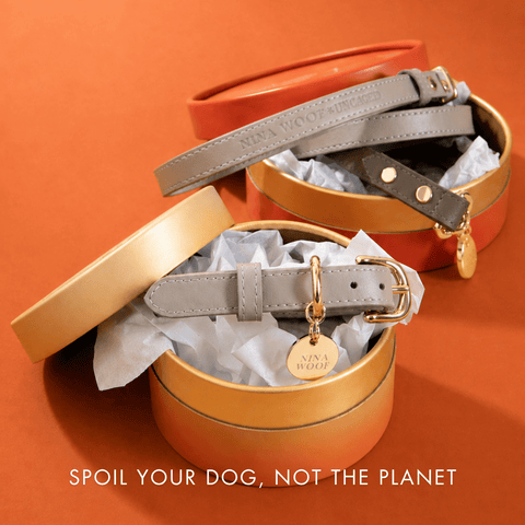 Collar Elevate - Nina Woof