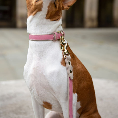 Collar - Vegan Leather - Nina Woof