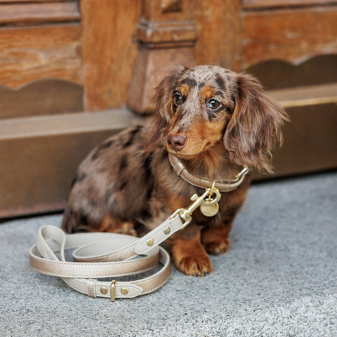 Collar - Vegan Leather - Nina Woof