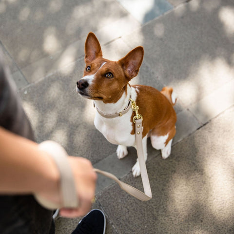 Leash 4ft - Vegan Leather - Nina Woof