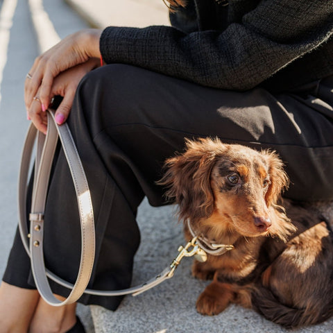 Leash 4ft - Vegan Leather - Nina Woof