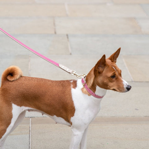 Leash 4ft - Vegan Leather - Nina Woof