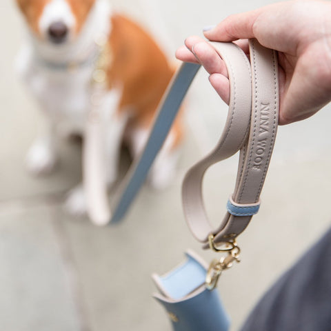 Leash 4ft - Vegan Leather - Nina Woof