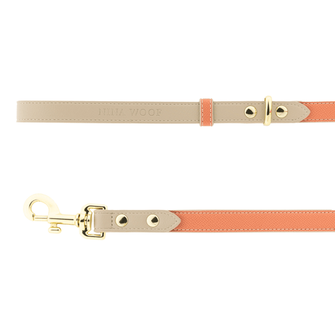 Leash 4ft - Vegan Leather - Nina Woof