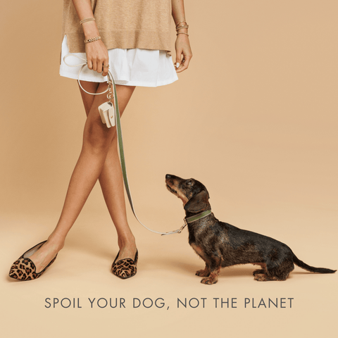 Leash 4ft - Vegan Leather - Copenhagen - Nina Woof