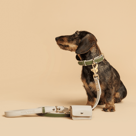 Leash 4ft - Vegan Leather - Copenhagen - Nina Woof