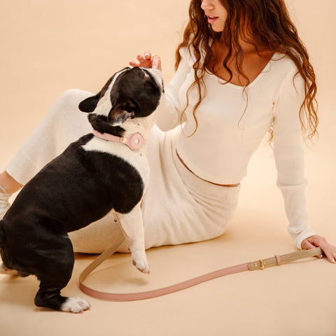 Leash 4ft - Vegan Leather - Cupertino - Nina Woof