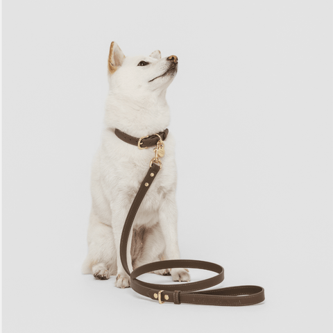 Leash Elevate - Nina Woof