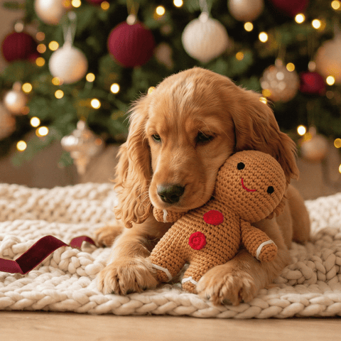 Xmas Toys Bundle - Nina Woof