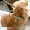 Copenhagen - Vegan Leather Dog Collar - Nina Woof