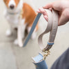 Cupertino - 4ft Vegan Leather Dog Leash - Nina Woof