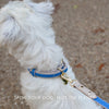 London - Vegan Leather Dog Collar - Nina Woof