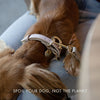 Milan - 4ft Vegan Leather Dog Leash - Nina Woof