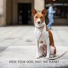 Milan - Vegan Leather Dog Collar - Nina Woof