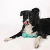 Nina Woof Dog Toy and Rope Ball Bundle - Nina Woof